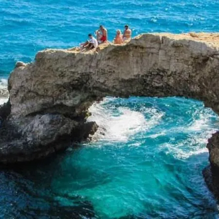 The Complete Guide To Renting Your Holiday In Close To The Beach, 1323 איה נאפה